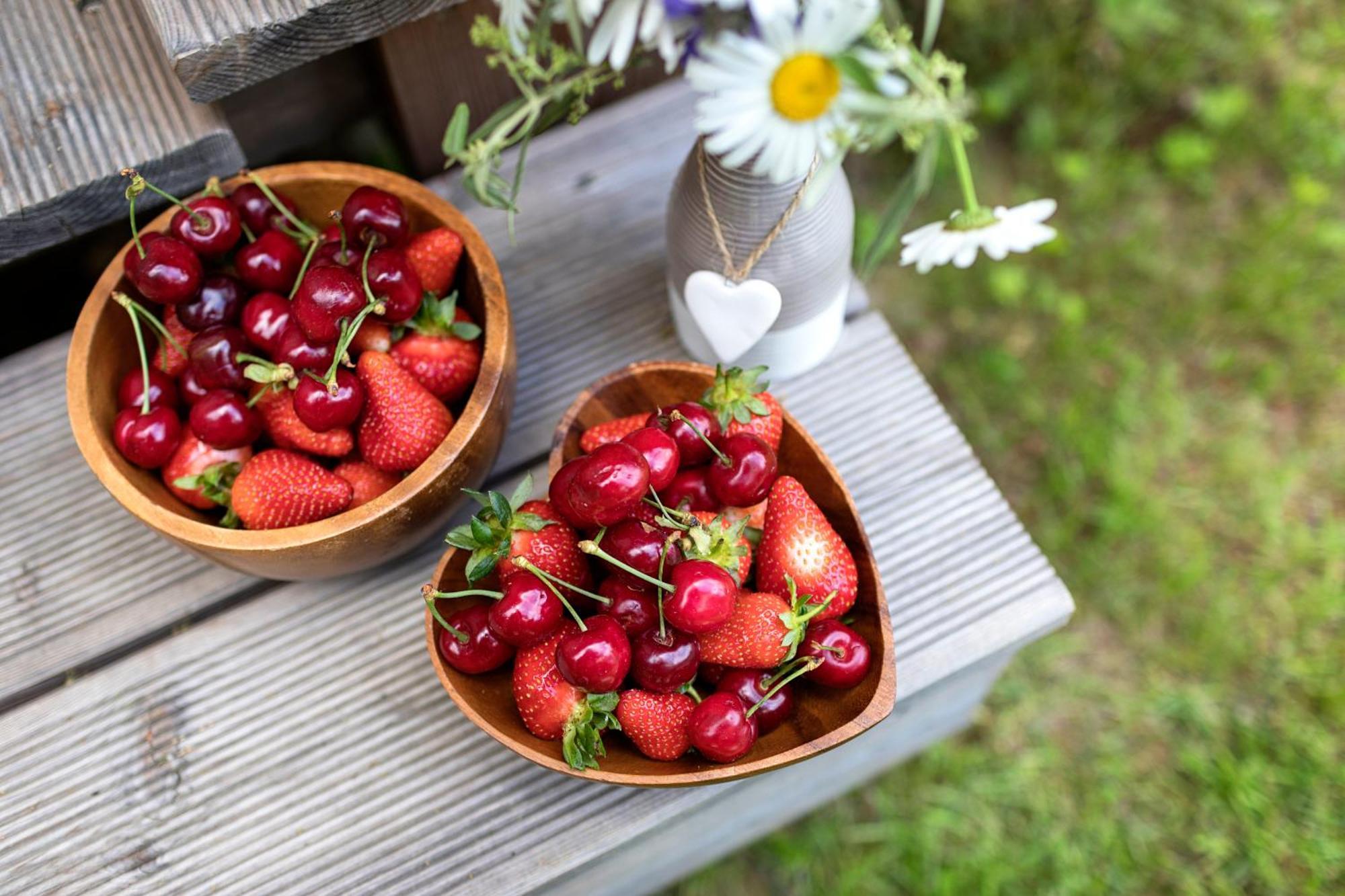 Glamping Health Kamnik